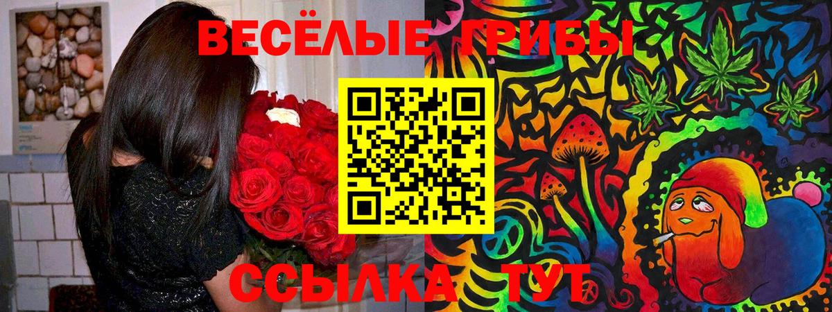 Псилоцибиновые грибы Psilocybine cubensis Гуково