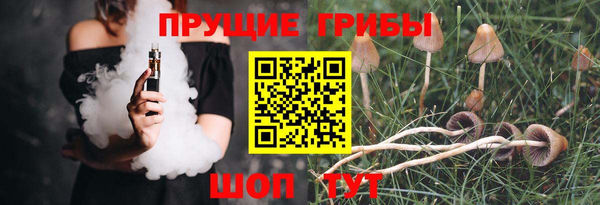 Псилоцибиновые грибы прущие грибы  Вход с VPN  Галлюциногенные грибы ЛСД  Гуково 